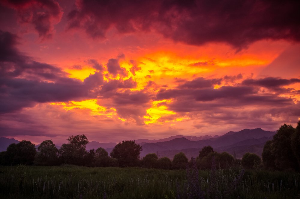 Photograph by Bektursun Stamkulov