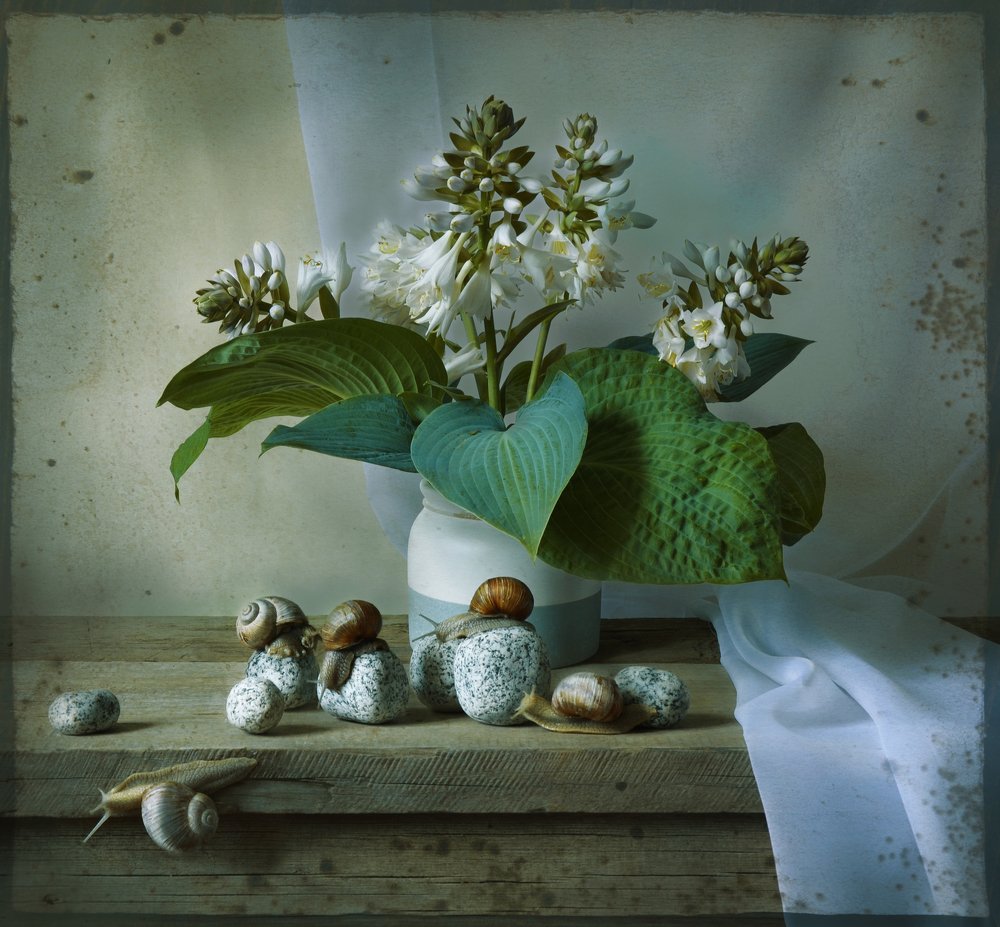 Тихая жизнь