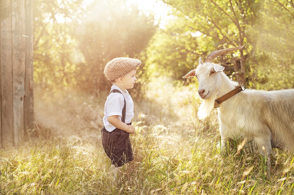жизнь в деревне