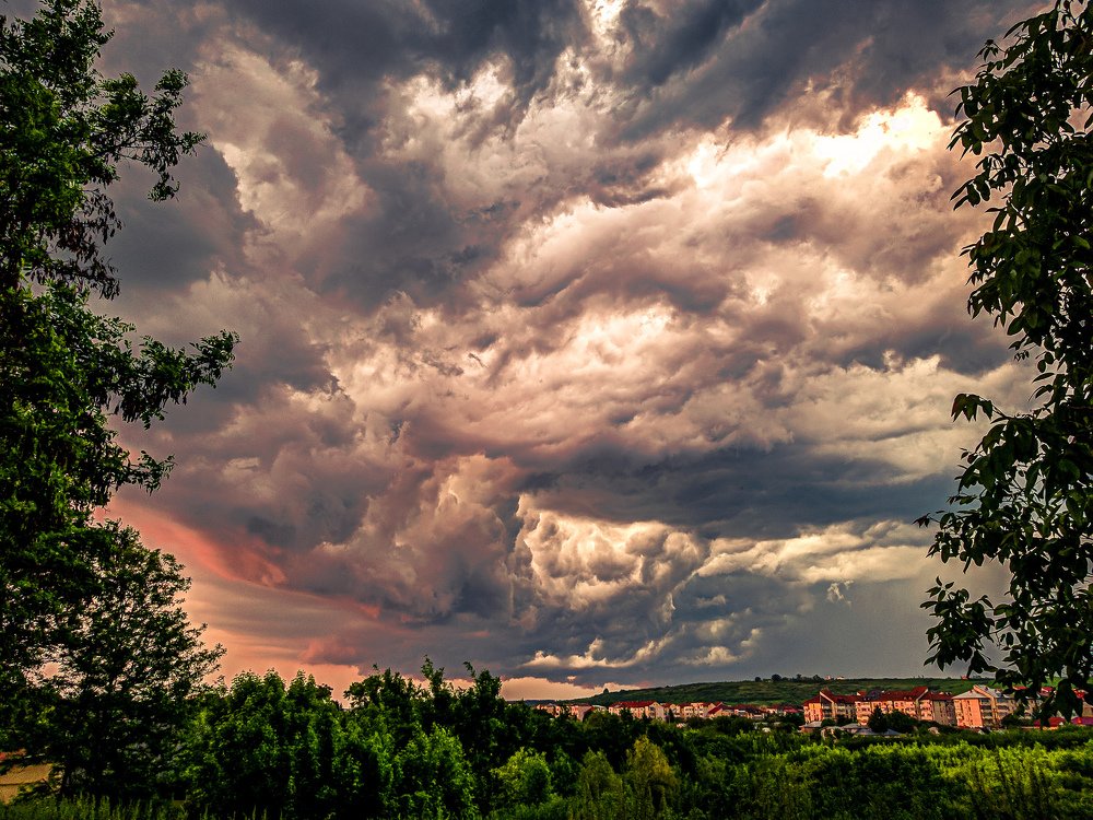 Before storm in sunset