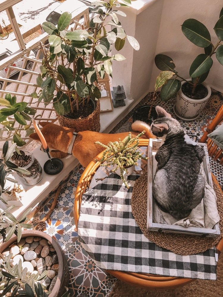 Photograph by Anna Yildiz