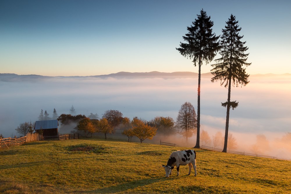 Sunrise in Bucovina