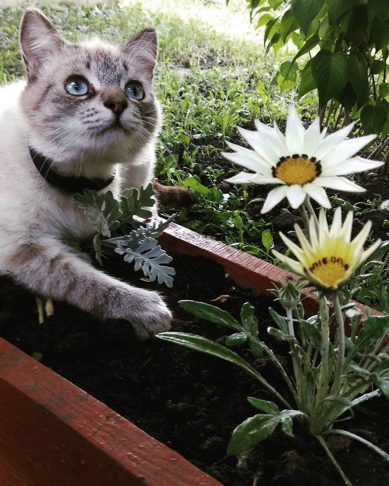 Photograph by Дмитрий Петренко