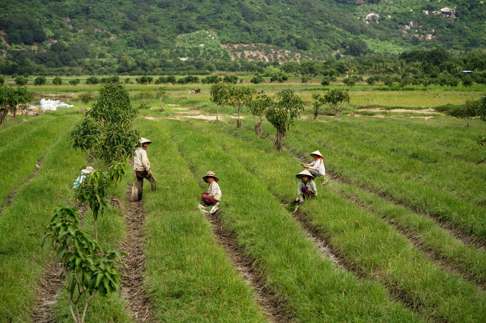 women on the field