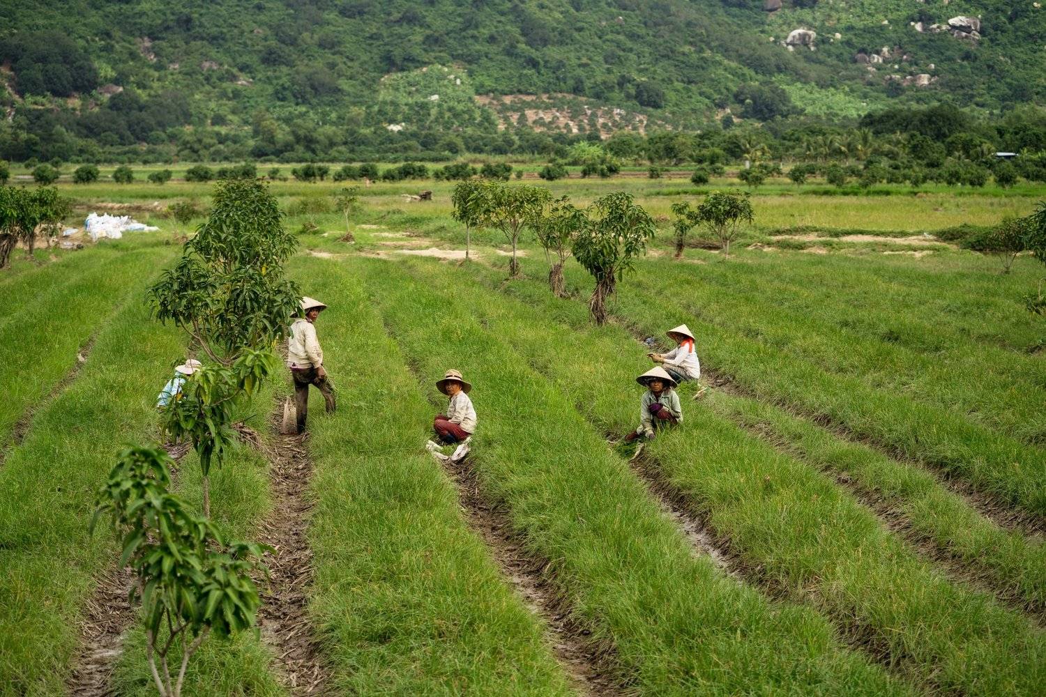 women on the field