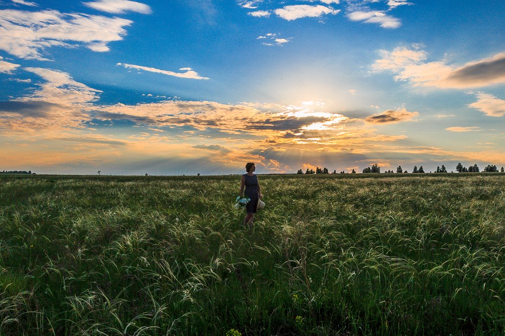 Закат в поле