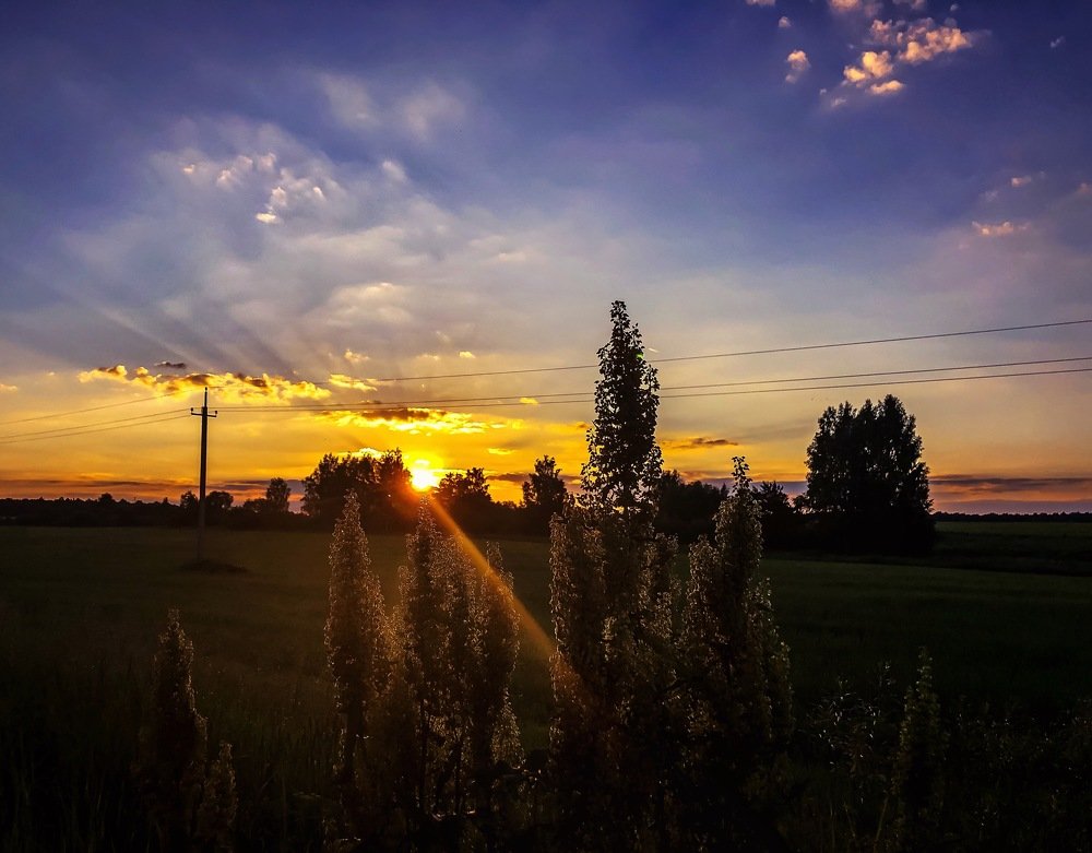 Где-то в полях