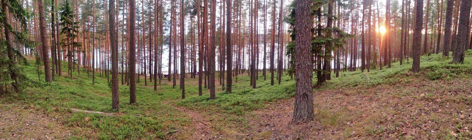 Солца последний луч...