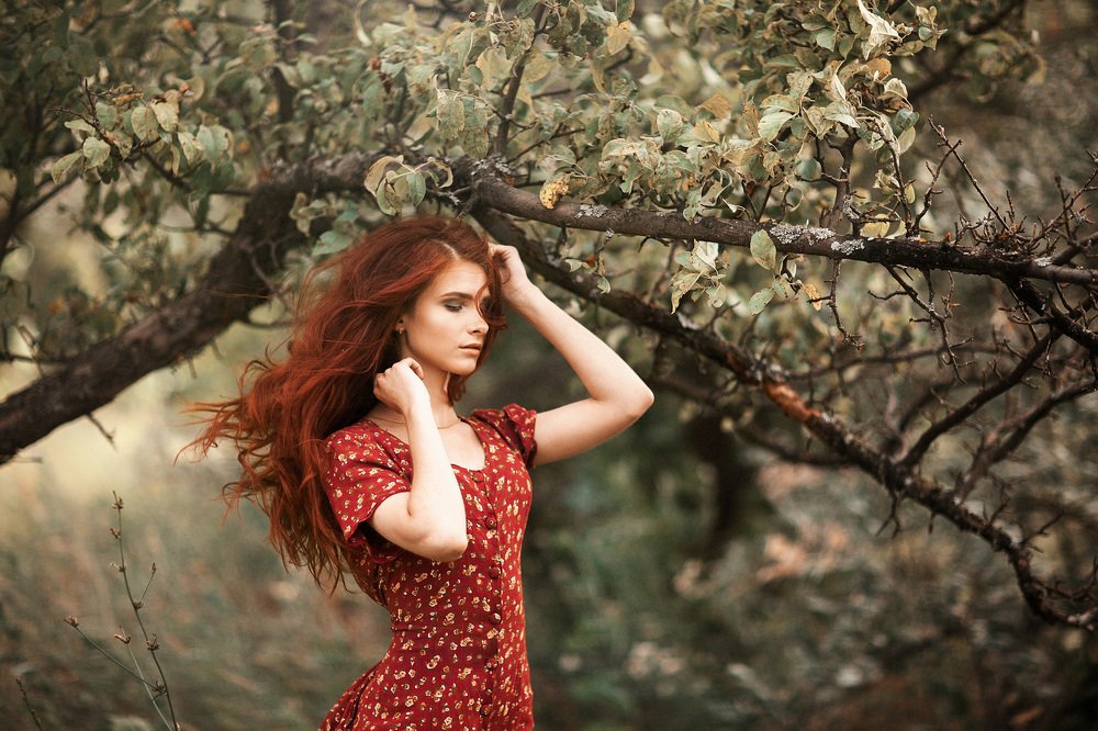 Photograph by Олег Коваленко