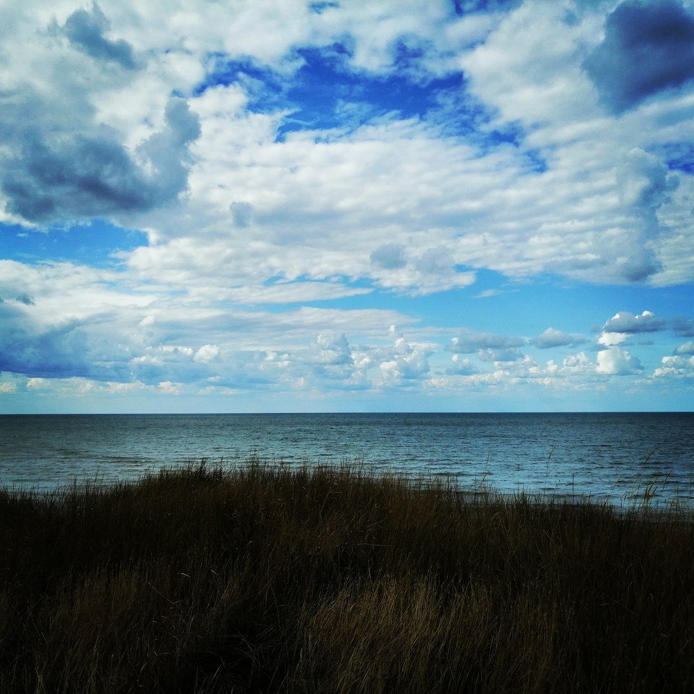 Морской берег