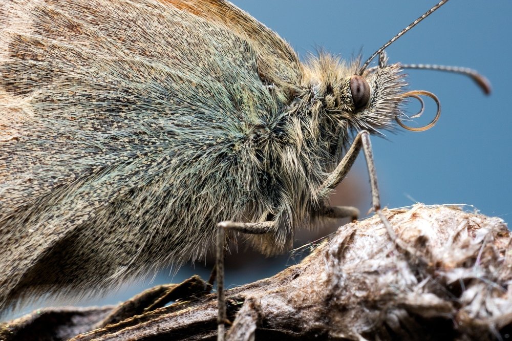 Photograph by Василий Тимофеев