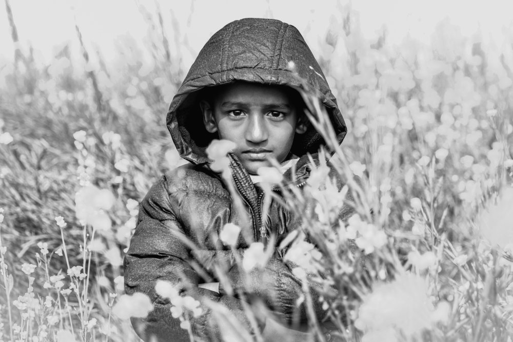 Child in the Mustard Field