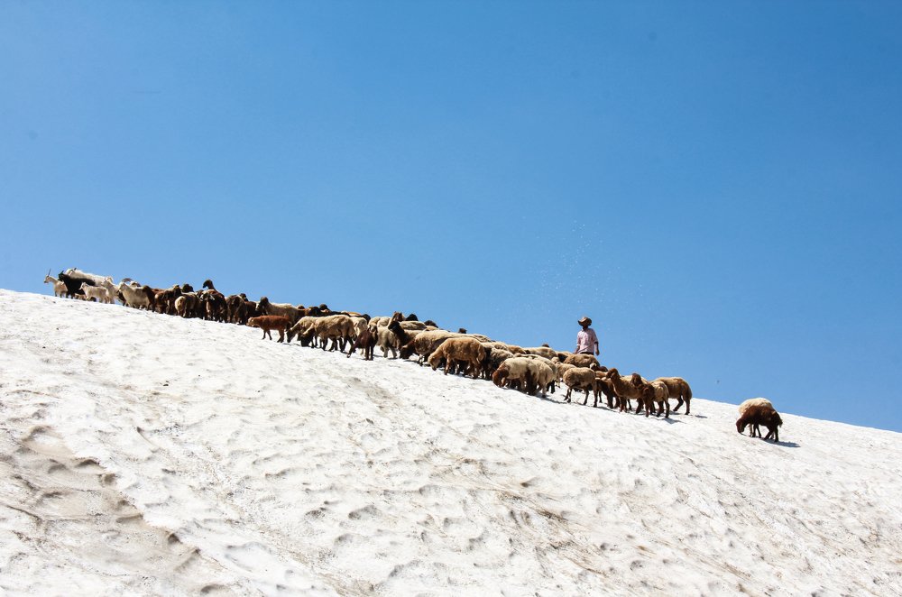 Фотография автора taher sabahi