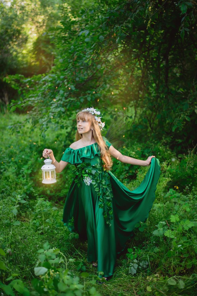 В волшебной стране фей