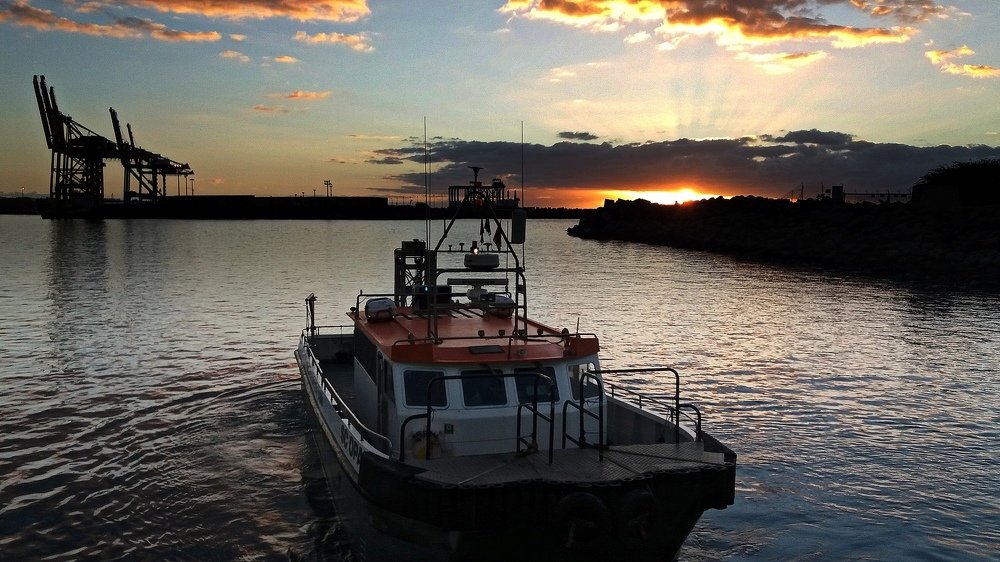 Остров Реньон 9