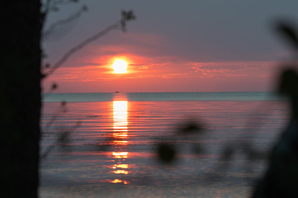 Photograph by Анастасия Ломаева