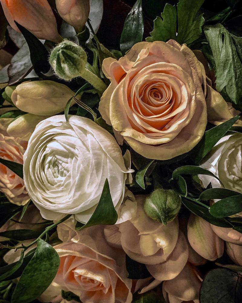 Photograph by Марина Неберекутина