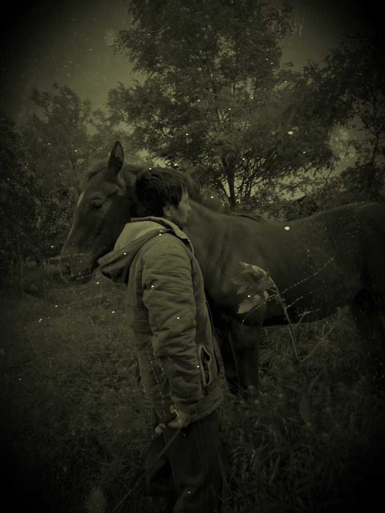 Животные и люди