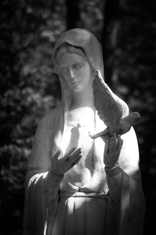 Безмолвный покой