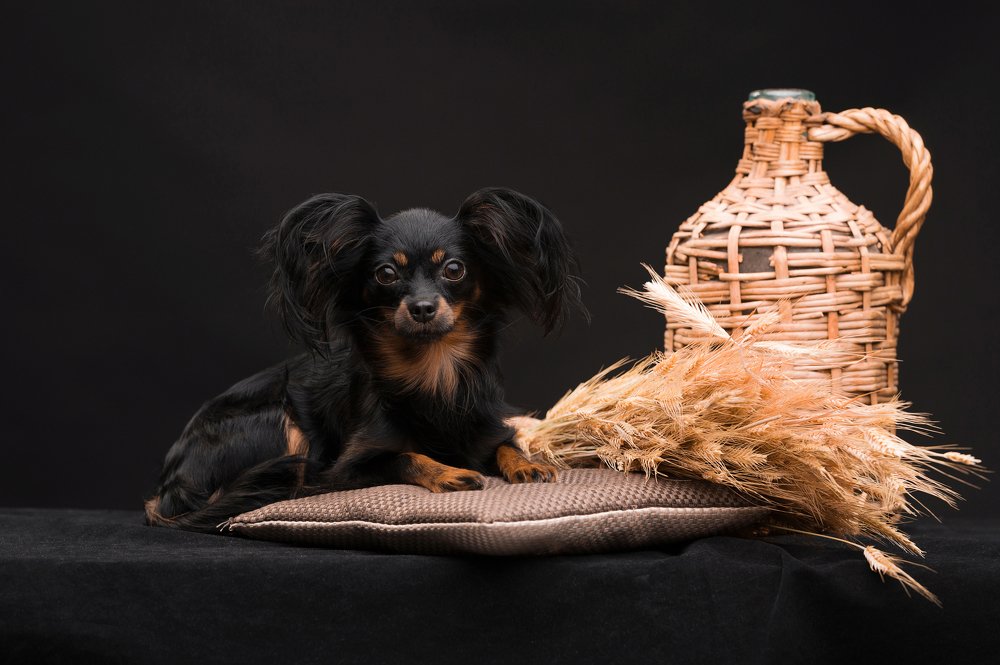 Черное золото