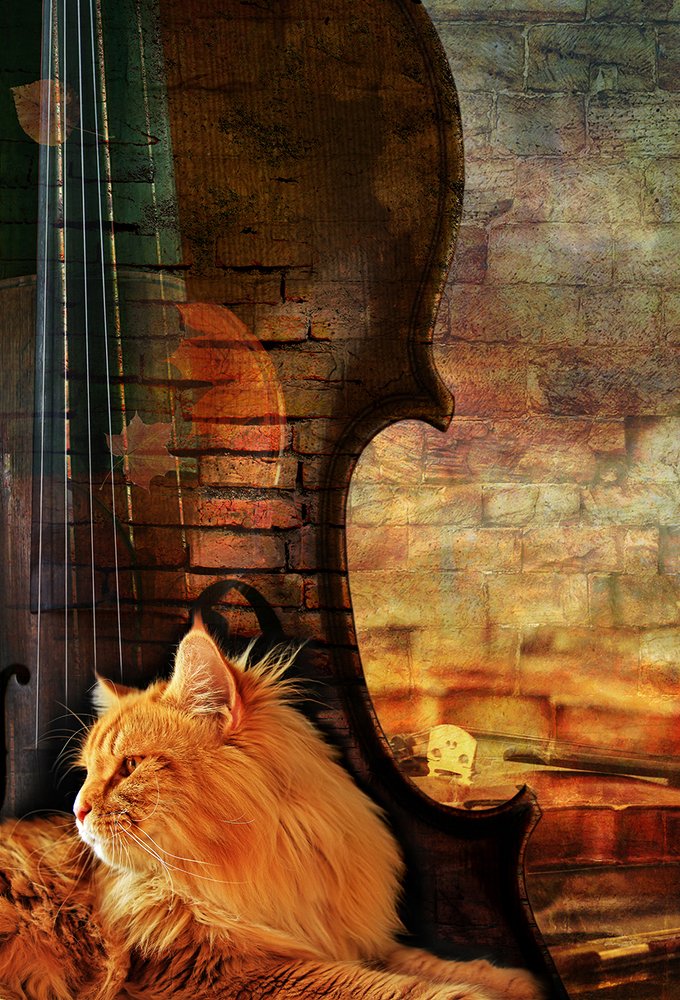 Photograph by Гагик Мхитарян