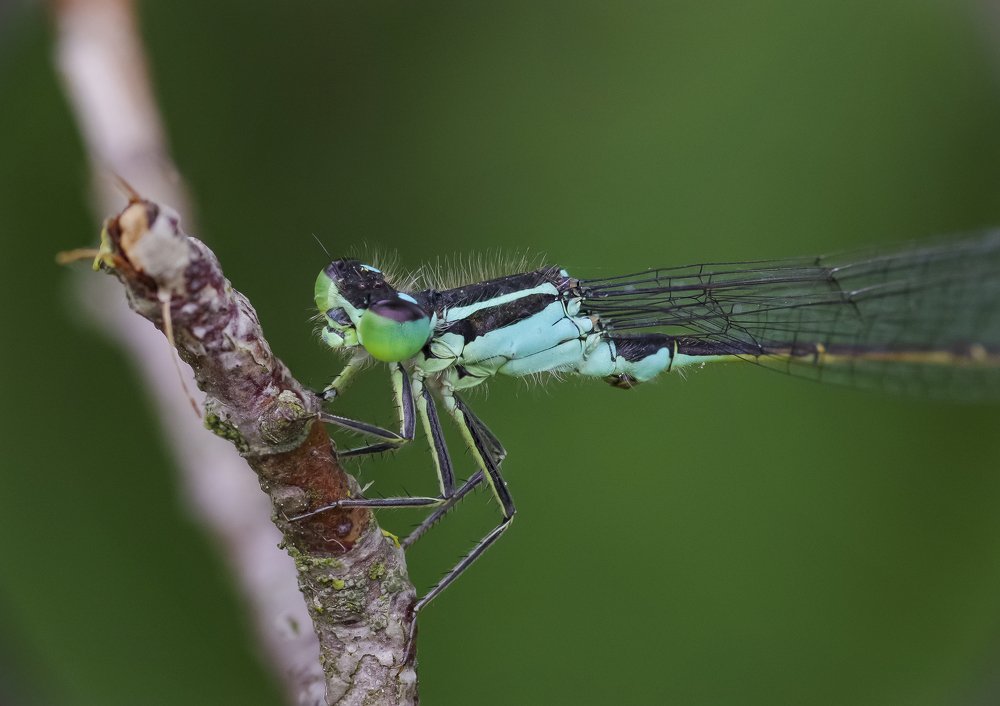Photograph by Игорь Архипов