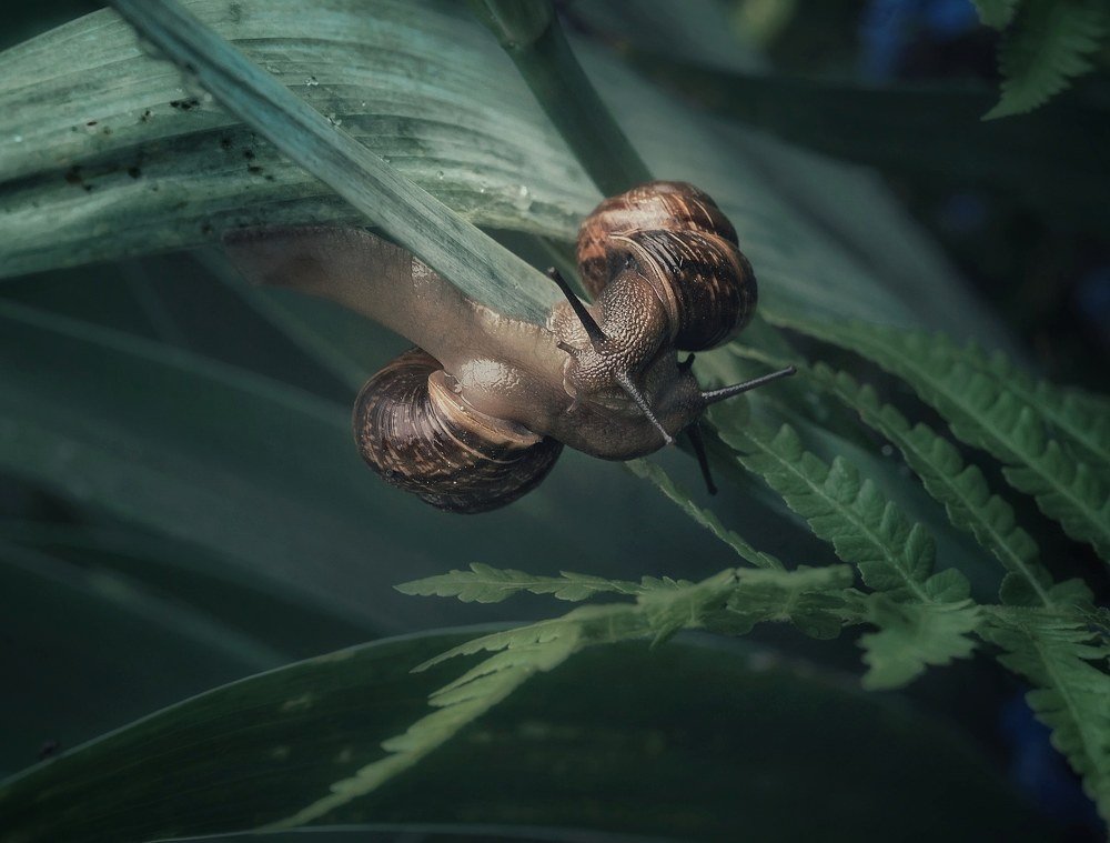 Нежная встреча