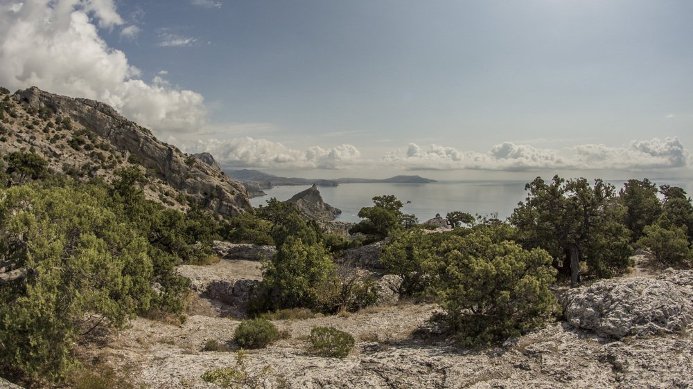Заказник Караул-Оба. Новый Свет. Крым.