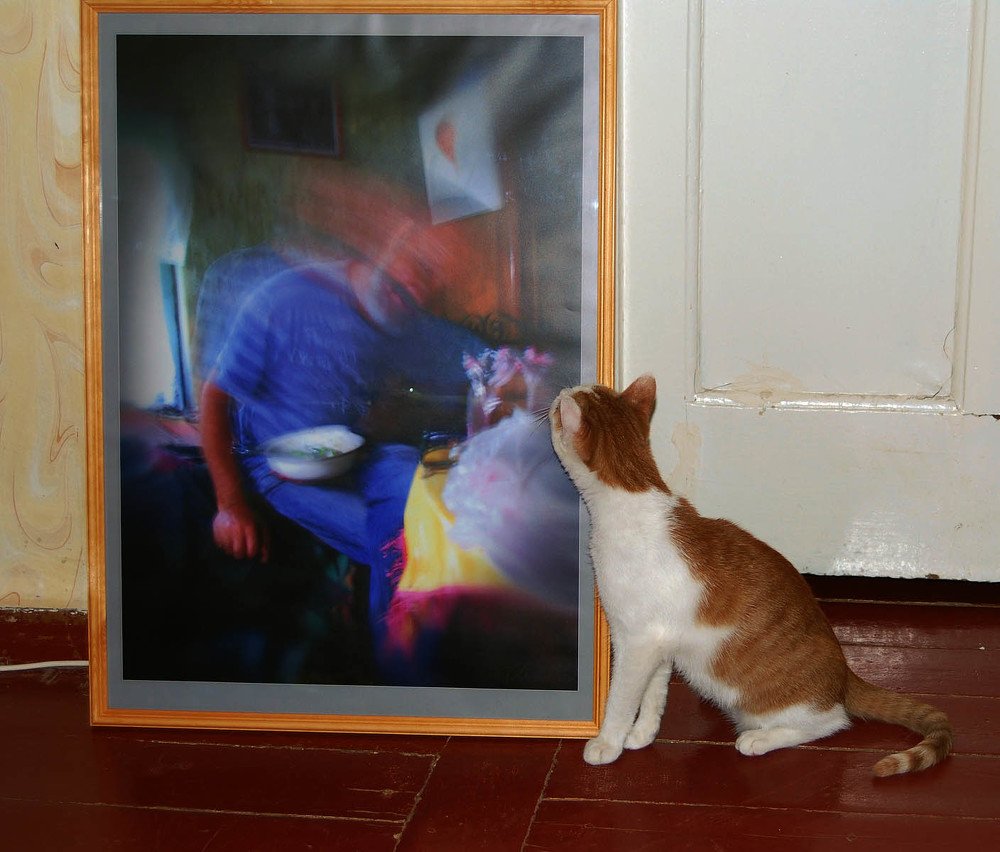 Впечатление.