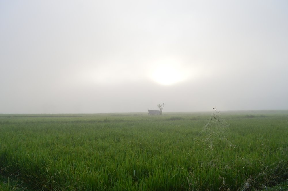 Morning day is beutifull