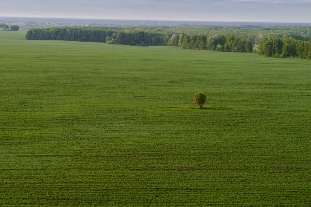 Индивидуальность