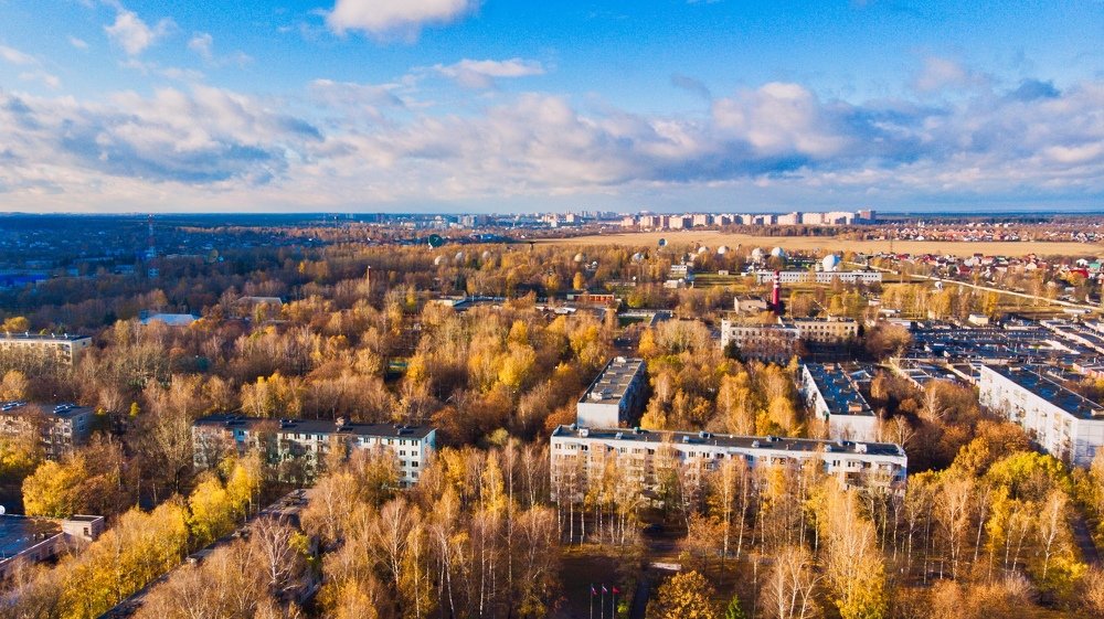 Золотая осень в Подмосковье