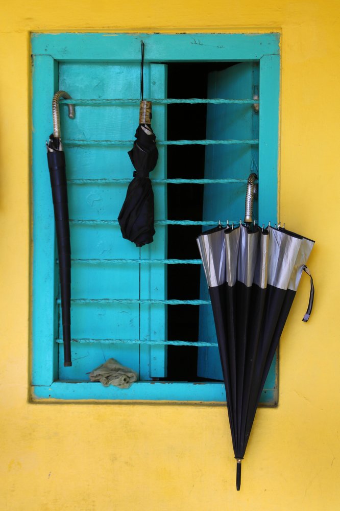 Window and Umbrella