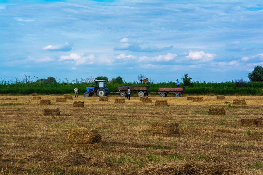 Уборка сена