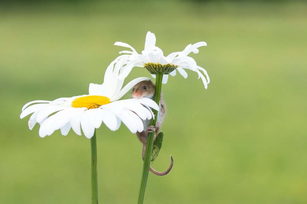 Stop and smell the flowers