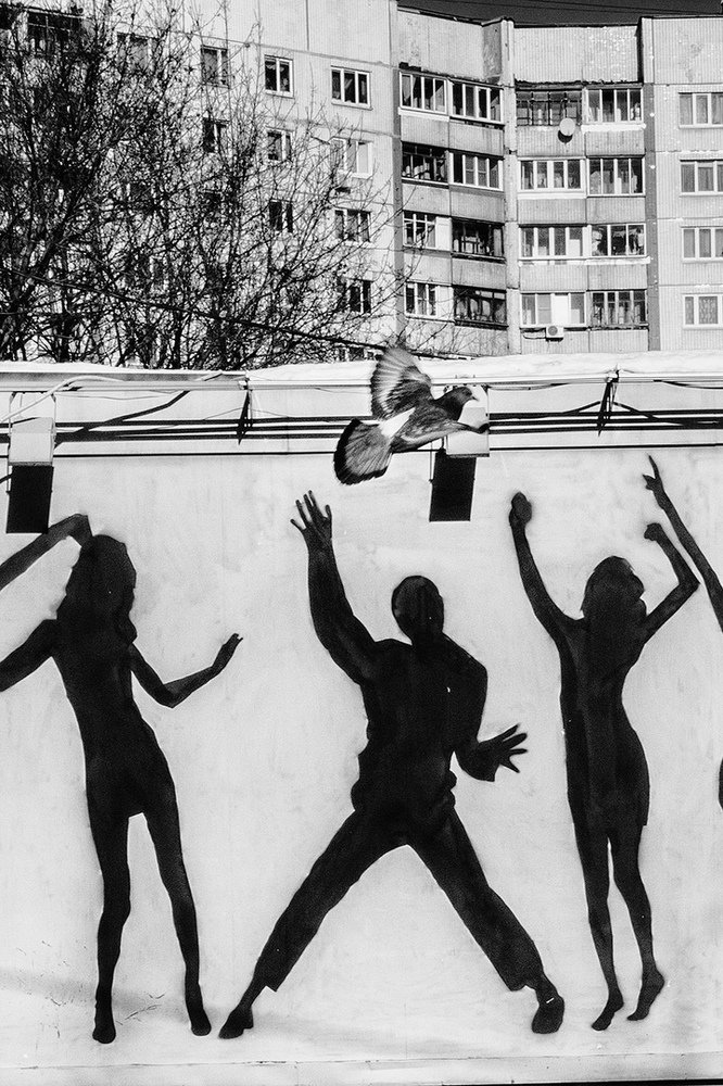 За птицей удачи...