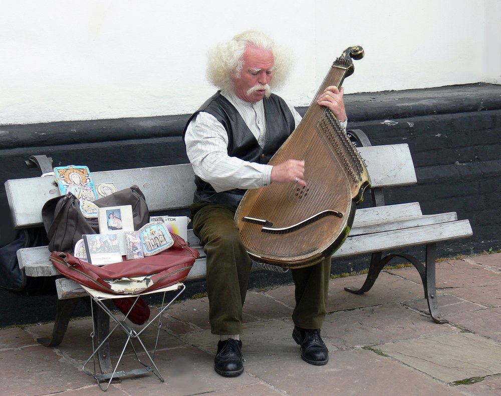 Взял бы я бандуру...