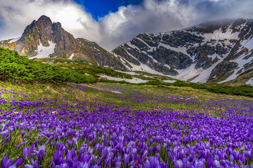 Photograph by Venelin Dimitrov