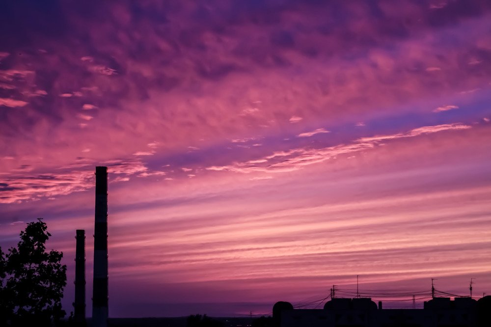 Розовый закат