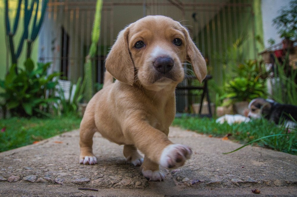 To infinity and beyond!