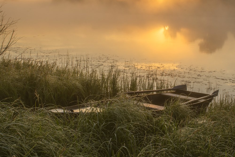 Рассветное