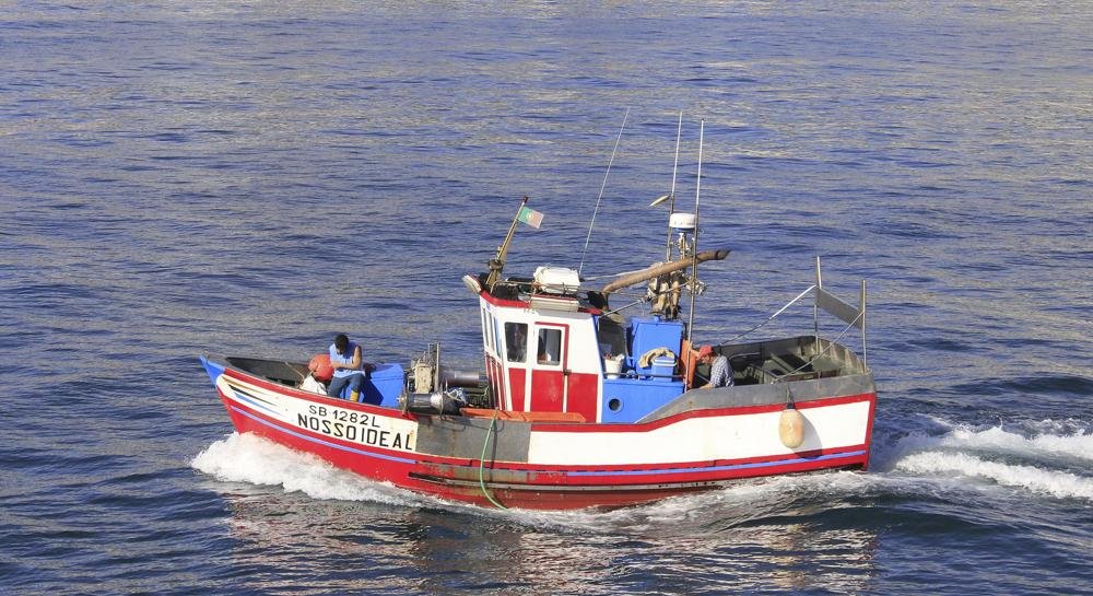 In search of the fish