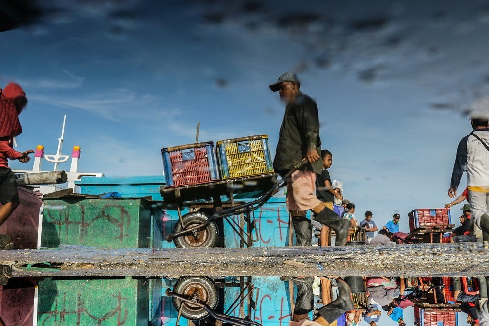 Fish market activity