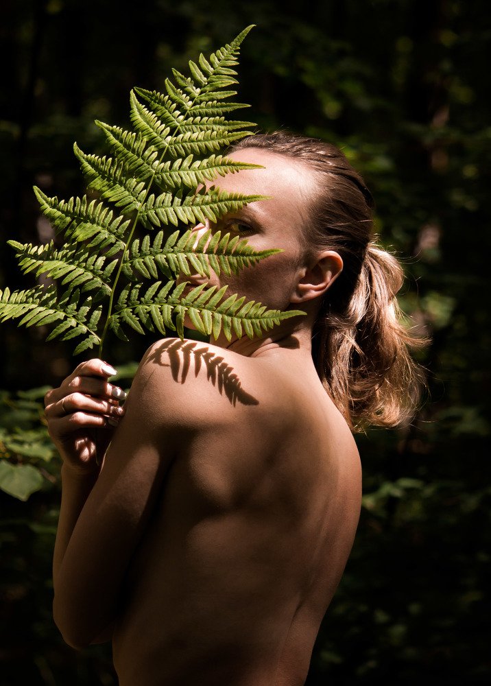 Цветок Папоротника