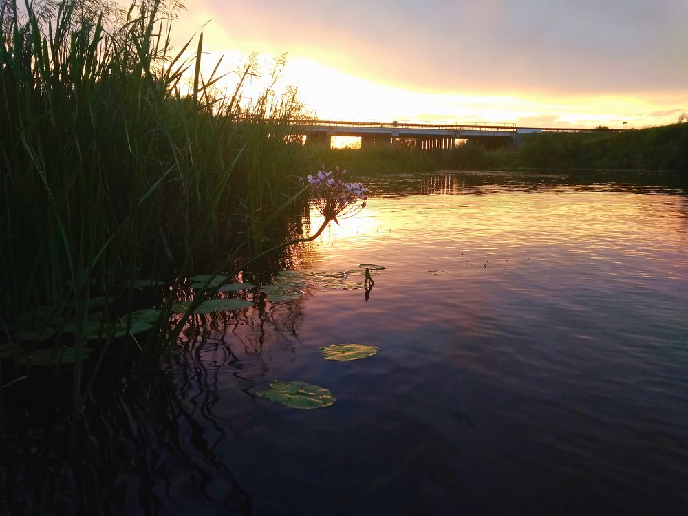 догорал летний вечер