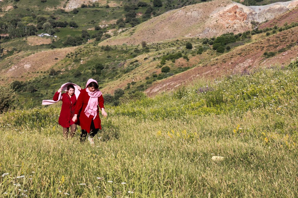 Фотография автора taher sabahi