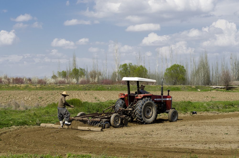 Фотография автора taher sabahi