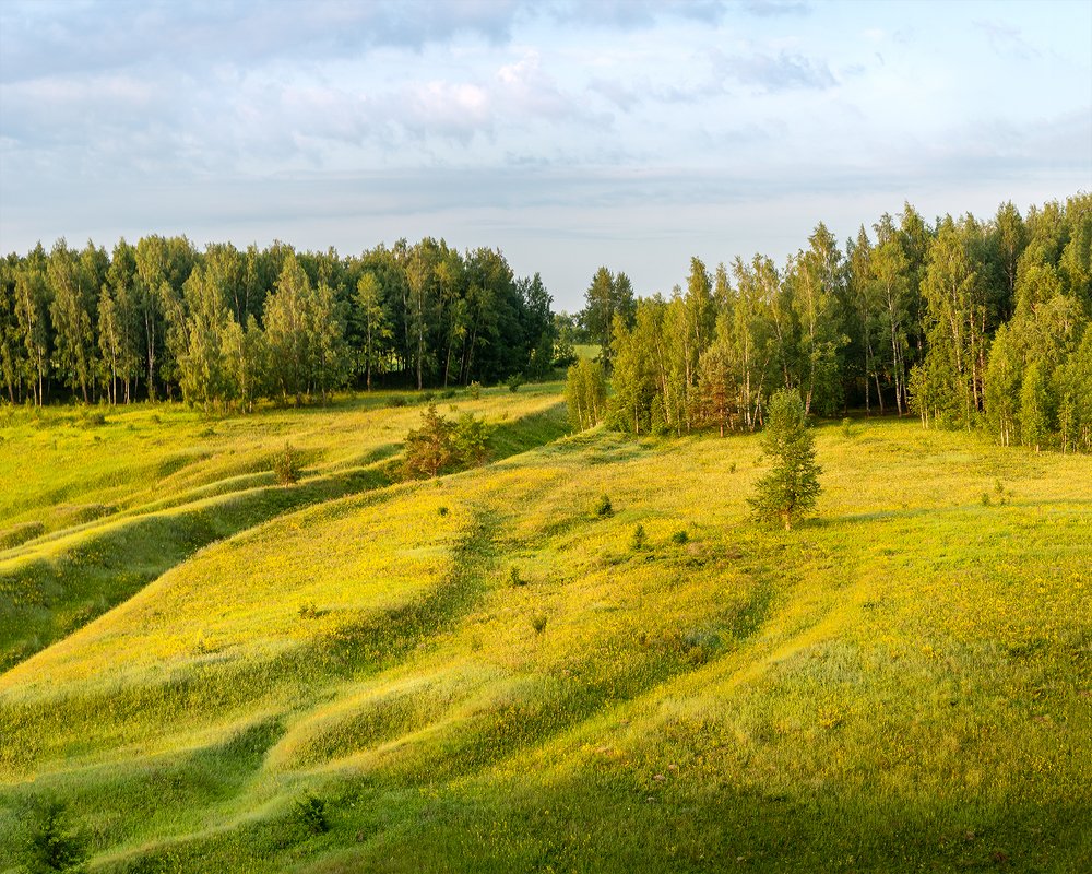 Лето..., утро..., Россия.