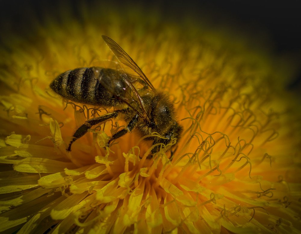 За работой.