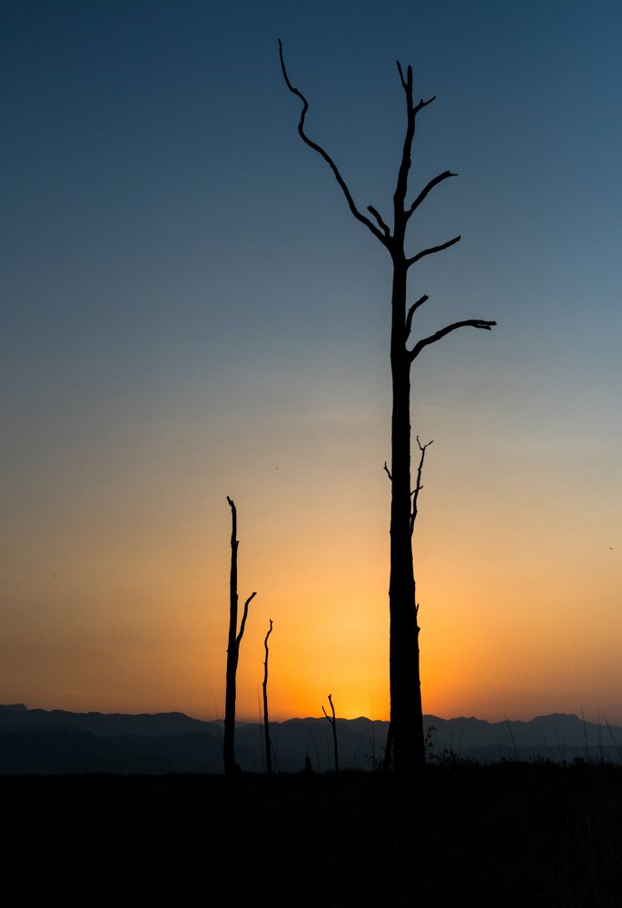 Life is about waking up an hour early